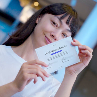 La toile du dernier trajet 