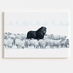 Lion Among Sheep Canvas
