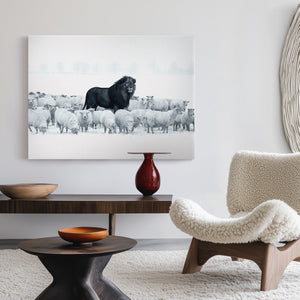 Lion Among Sheep Canvas