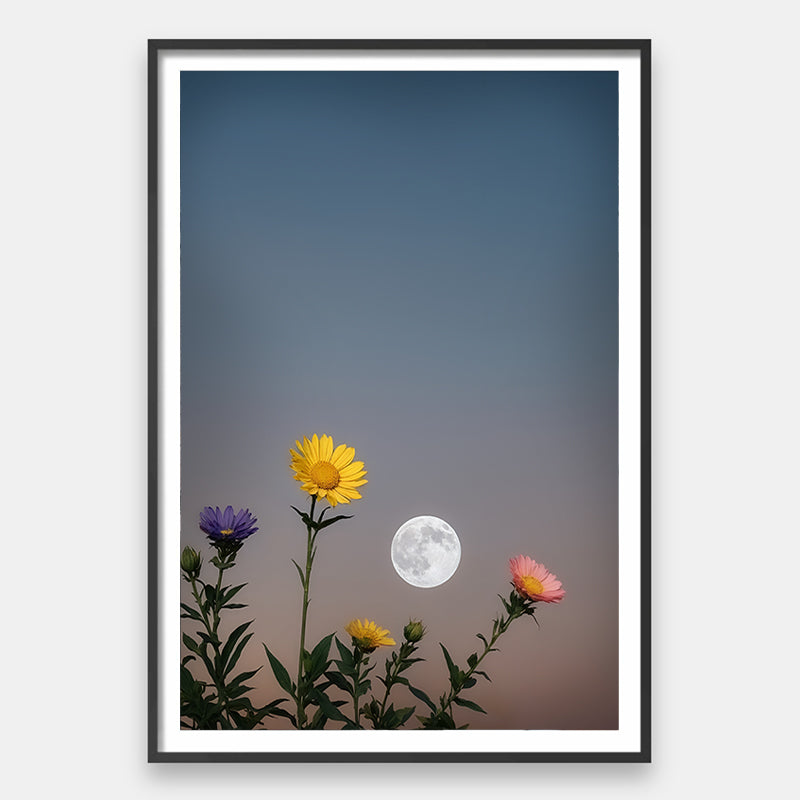 Peace-Blossoms-by-Sara-Pardo-