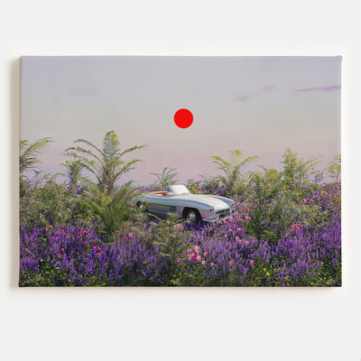 La toile du dernier trajet 