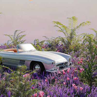 La toile du dernier trajet 