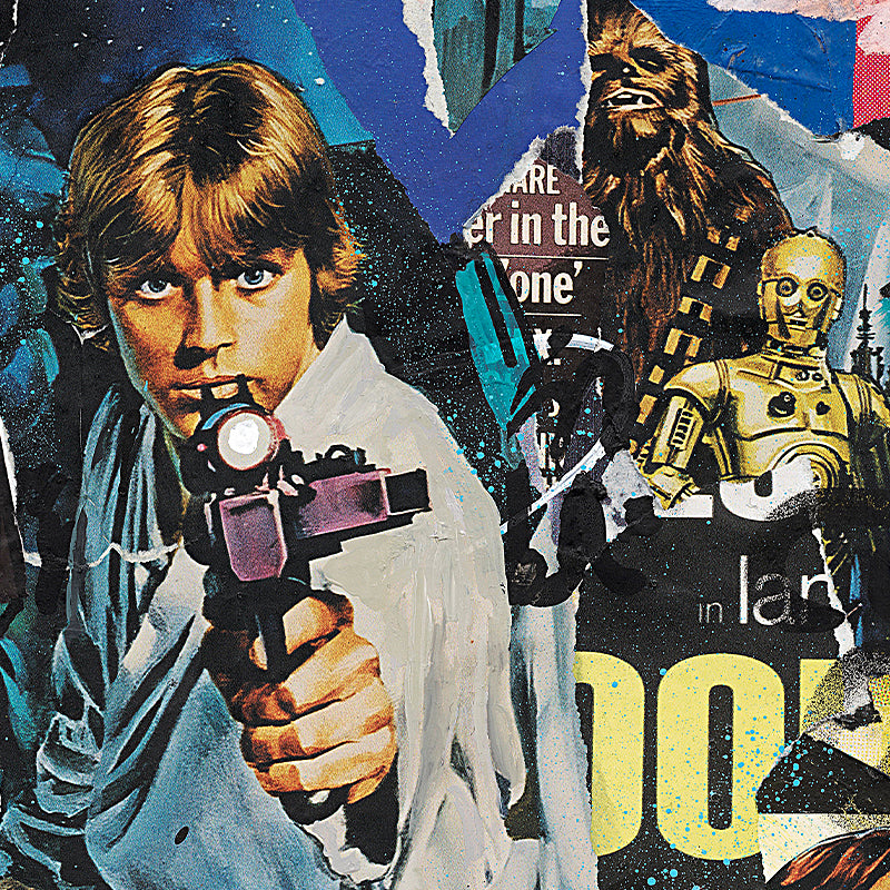 A Star Wars Saga [Limited Edition] – Star Wars 1977 Gallery Wall