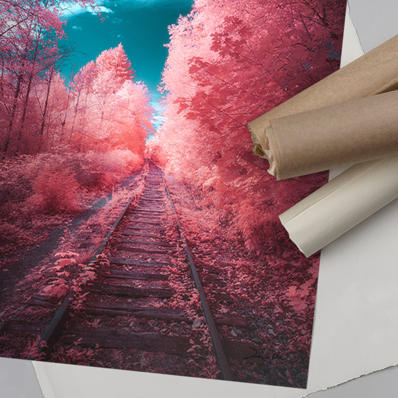 Fairytale Express – Surreal Infrared Nature Wall Art by Zach