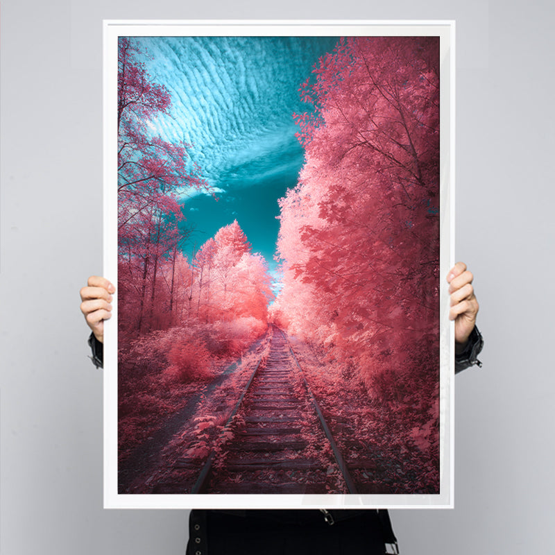 Zach-Doeler-Fairytale-Express-