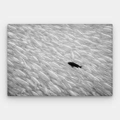 Vind je eigen weg Canvas — Canvas Horizontaal #01