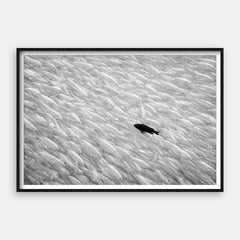 Find Your Own Way — Art Print Horizontal #01